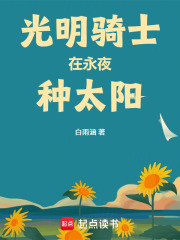光明骑士在永夜种太阳