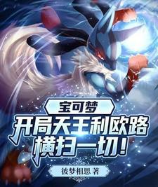  宝可梦：开局天王利欧路横扫一切